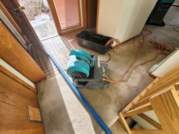 Best Water damage restoration company  in Greeneville, TN