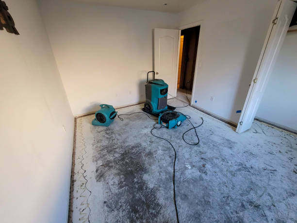 Best Emergency water damage restoration  in Greeneville, TN
