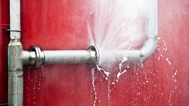 Best Sewage cleanup and water damage restoration  in Greeneville, TN